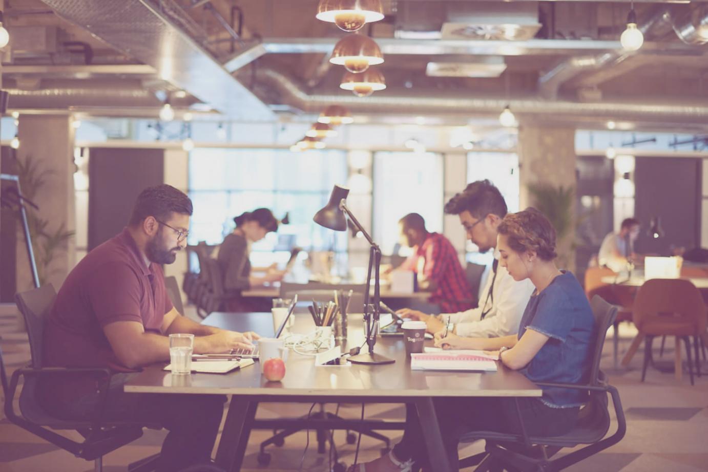 Lernprogramm Übersicht